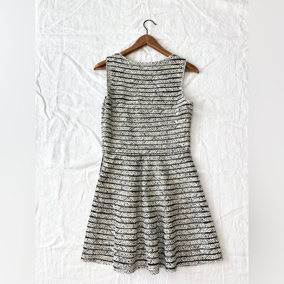 Parker Mesh Ribbed Fit and Flare Silk Lined Mini Dress White Black - Picture 15 of 16